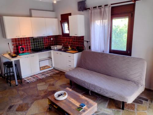 MickeyHouse, Agria (photo 8)