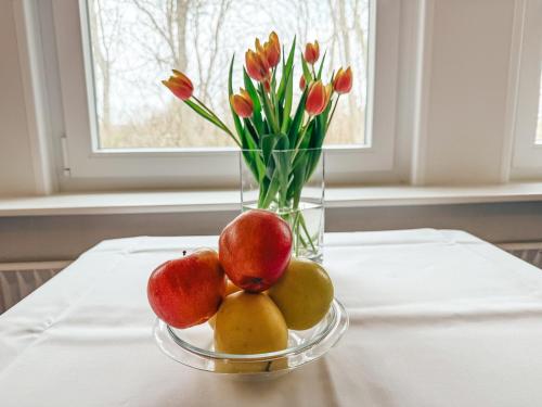 Apartment image 8