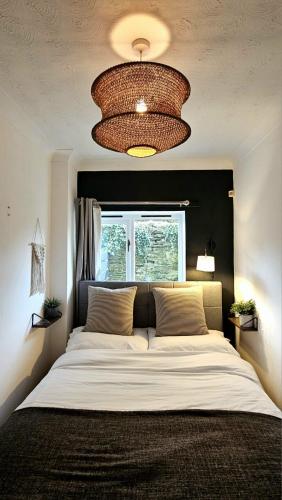 Cosy, central hideaway in Totnes, Totnes (fotografie 10)