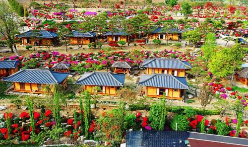 Oroji Pension in Bonghwa