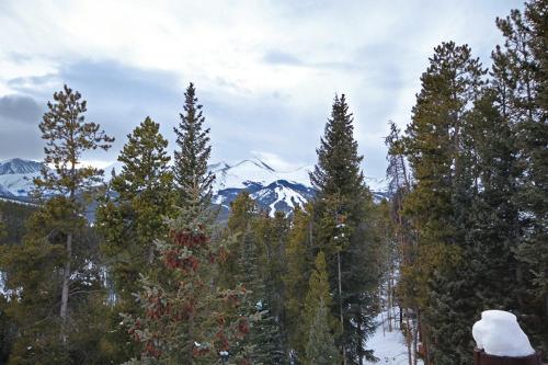 10 Southface Home - image 5