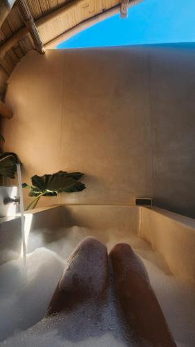 Tipsea Turtle Gili Air in Lombok