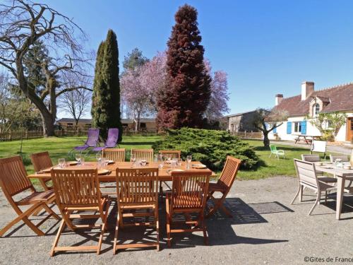 Gîte ancien avec jardin clos, animaux acceptés, proche des balades équestres - FR-1-497-144 (Maison ancienne avec jardin cloture en foret domaniale, animaux acceptes, pres du centre equestre - ) in 薩爾特河畔勒梅勒