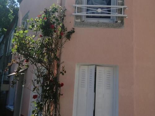 Maison de charme à Arfeuilles, animaux acceptés, idéale randonnées - FR-1-489-52 (Maison de charme a Arfeuilles, animaux acceptes, ideale randonnees - FR-1-489-52) in Arfeuilles