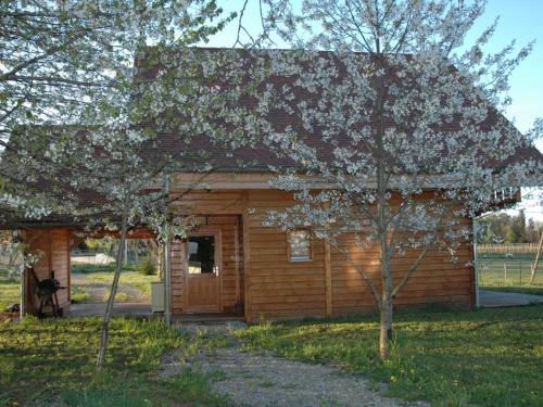Gîte Louchy-Montfand 4 pièces 7 personnes - FR-1-489-151 - image 12