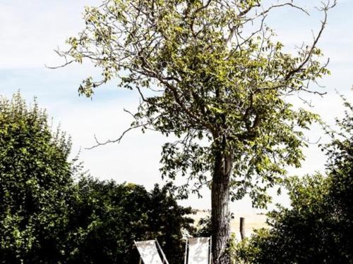 Gîte Saint-André-d'Apchon 3 pièces 5 personnes - FR-1-496-143 - image 9