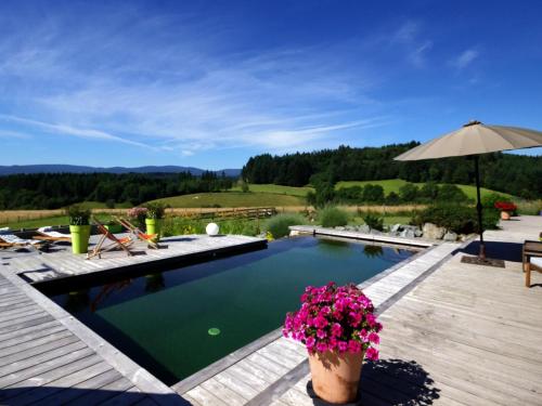 Gîte éco-responsable avec bassin naturel et vue panoramique - FR-1-496-258 (Gite eco-responsable avec bassin naturel et vue panoramique - FR-1-496-258) in Saint-Marcel-d'Urfé