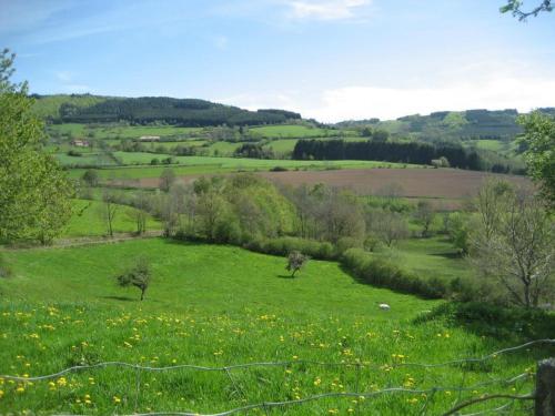 Gîte convivial avec jardin, cheminée et animaux acceptés près de Roanne - FR-1-496-93 (Gite convivial avec jardin, cheminee et animaux acceptes pres de Roanne - FR-1-496-93) in La Tuilière (Rhône-Alpes)