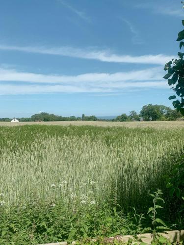 Exterior view, Guest House With Sea View In Osterlen near Mandelmanns Tradgardar