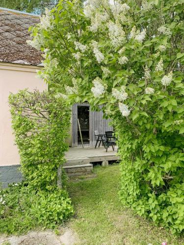 Exterior view, Guest House With Sea View In Osterlen near Mandelmanns Tradgardar