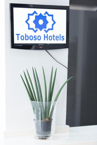 Hotel Toboso Chaparil - image 8