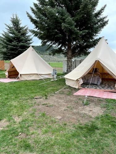 Boho Bell Tent Glamping in Swan Valley, Idaho near Jackson Hole in Svanvalija (ID)