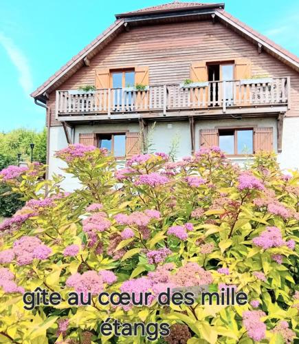 gîte des 1000 étangs
