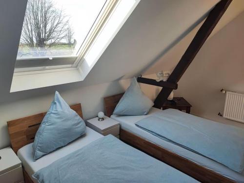 Ferienwohnung auf dem Lande - image 5