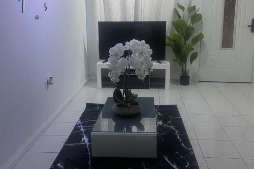 Beautiful 3-Bed House in Saint Catherine Portmore in Caymanas