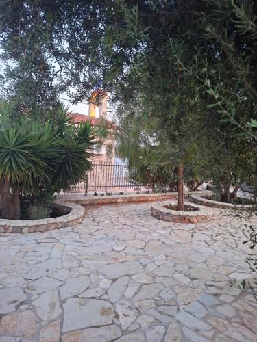 Oasis Studios AG PANTES