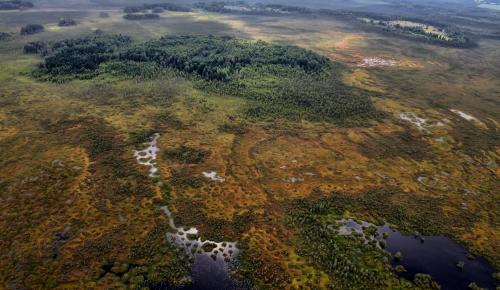 Haudamäe Puhkemaja