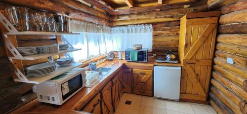 Cabin by the Mendoza River, Potrerillos (fotografie 5)