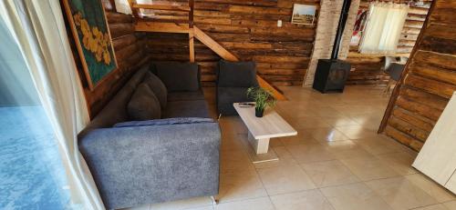 Cabin by the Mendoza River, Potrerillos (fotografie 7)