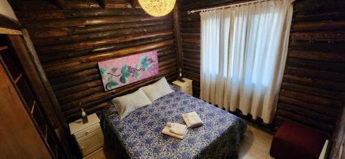 Cabin in Protrerillos near Mendoza River, Potrerillos (fotografie 5)