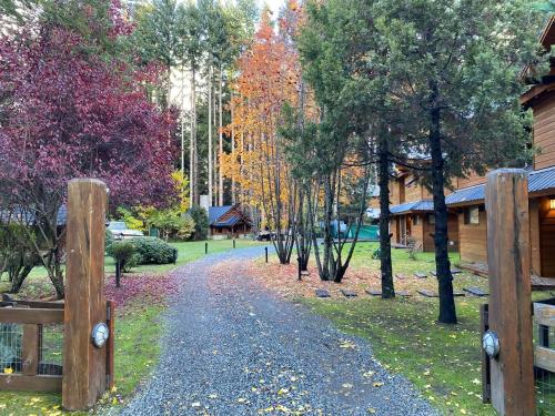 Remanso del Bosque - Amancay Cabin, Manzano Bay in 비야 라 앙고스투라