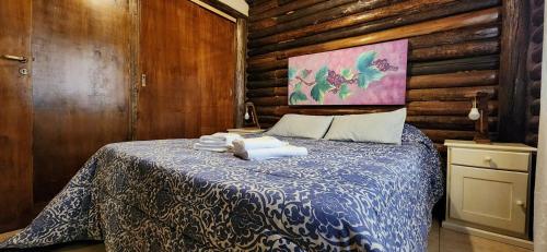 Cabin in Protrerillos near Mendoza River, Potrerillos (fotografie 9)