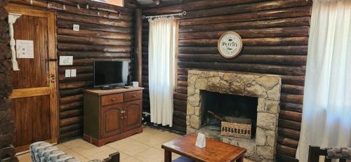 Cabin in Protrerillos near Mendoza River, Potrerillos (fotografie 10)