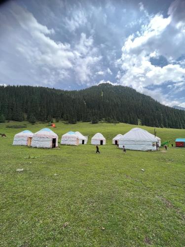 Apkārtne, Emin Sky Camp in Teploklyuchenka