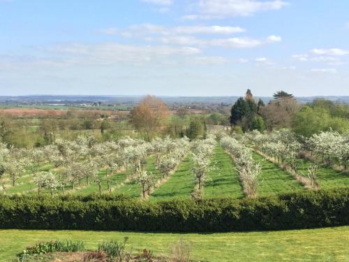 Shakespeare's View - image 9