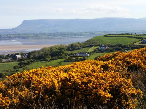 สภาพแวดล้อมโดยรอบ, Lough Gara Lodge Self Catering in กอร์ทีน