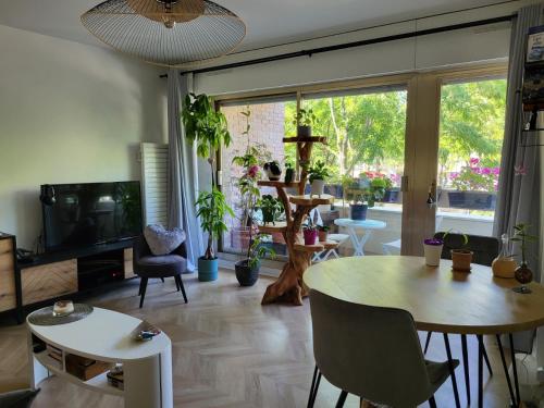 Une chambre au calme - Réservée aux femmes (Une chambre au calme - Reservee aux femmes) in Saint Mande