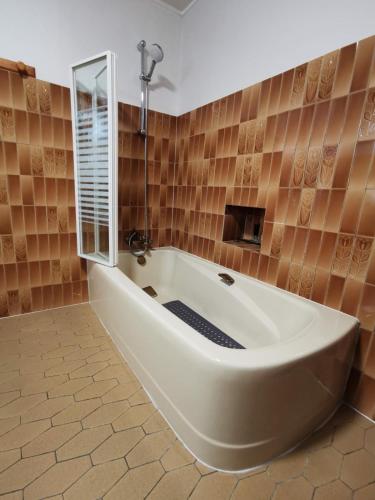 Familial House Dellac-Mathieu in mountain village Cantal in Cheylade