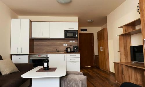 Studio Harmony, Pamporovo, Pamporovo (fotografie 6)