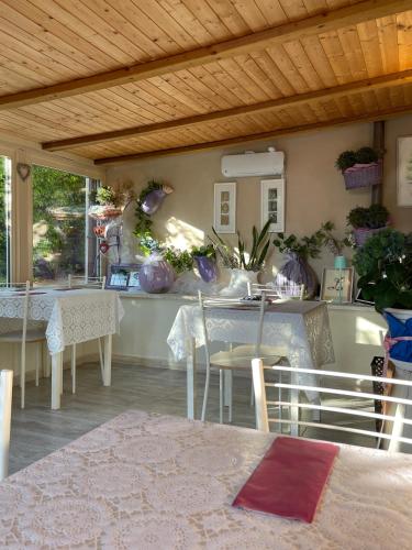 Il Lavandeto - farmhouse in the city 5