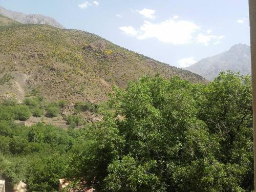 indigo inn agiou vasiliou crete island greece gr 70014 ballina palms boutique motel cnr bentinck ow