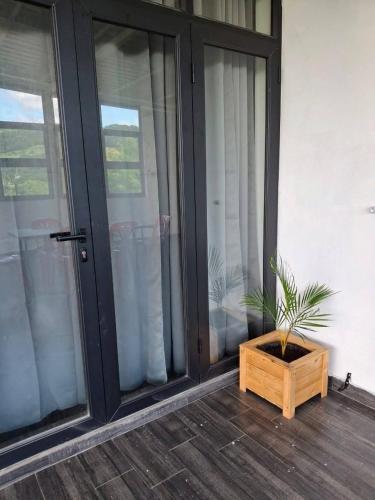 The Palms Property in Long Mountain