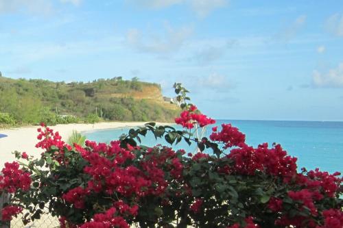 Sea View Chill Spot 15 min walk to the beach in Saint Mary