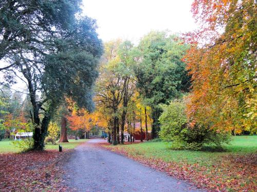 Surrounding environment, The Cottage Kilcock Kildare in Maynooth