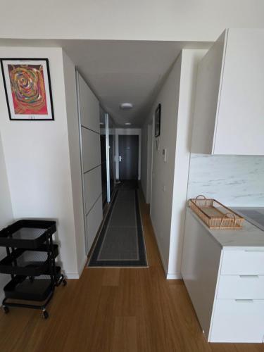 Modern Studio on the banks of the Danube, Bratislava (photo 9)