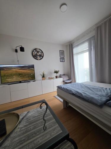 Modern Studio on the banks of the Danube, Bratislava (photo 6)