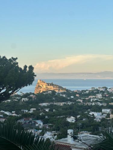 Oasis of tranquility in Barano D'ischia