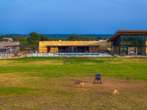 SKYE Texas Hill Country Resort in Hilltop, USA