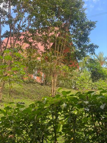 Hosteria MUNAY in San Miguel de Los Bancos