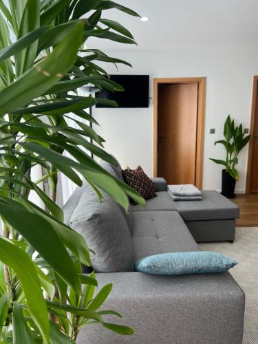 Sequeira Arantes Casa 1 in บาลังกา