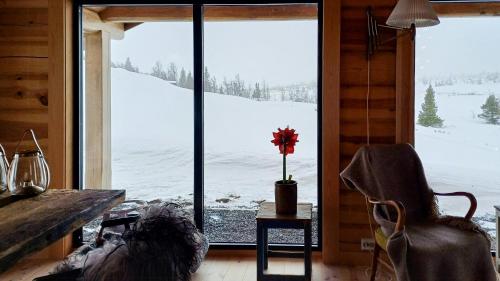 Viesnīcas āriene, Cabin With Panoramic Views At Syndin Plateau in Ryfoss