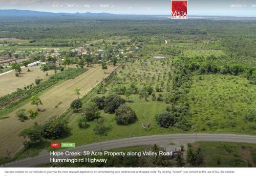 Borapami Estates, Melinda Airstrip (foto 8)