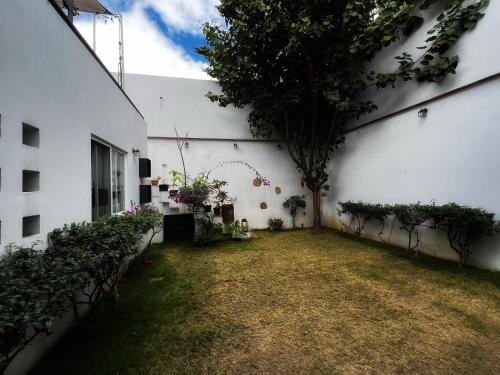 오악사카 Casa YOKO 3성급 게스트하우스 부대시설