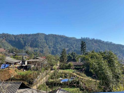 Surrounding environment, Ta Phin Homestay in Ta Phin