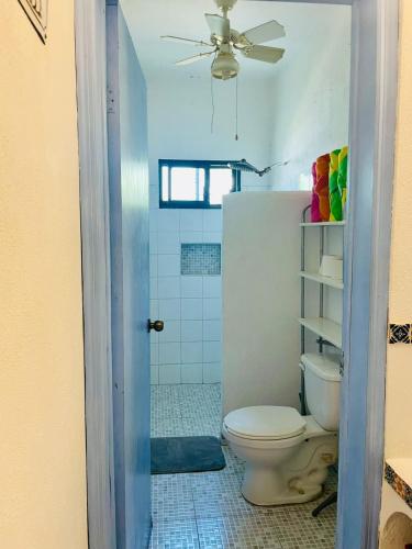 Casa Kante in San José del Cabo, Mexico