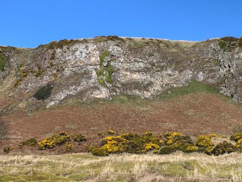 A szálláshely kívülről, Sheildaig Cottage Annex in St Cyrus